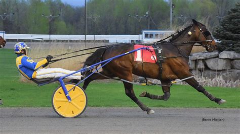 rideau carleton raceway casino